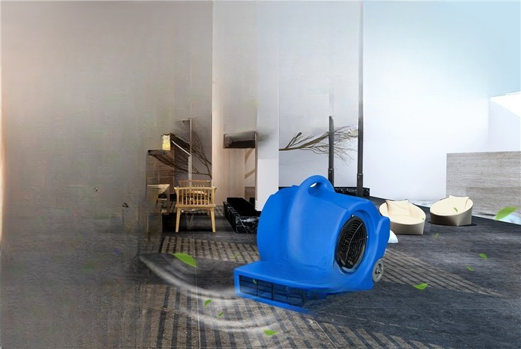 Mobiler Teppichbodentrockner H – Power Tools Mall Bewertung und Preis